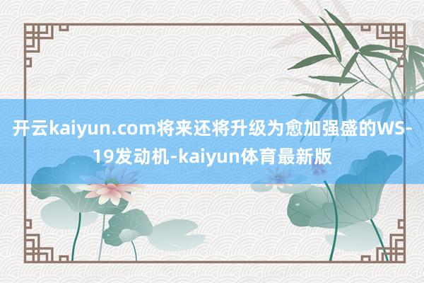 开云kaiyun.com将来还将升级为愈加强盛的WS-19发动机-kaiyun体育最新版