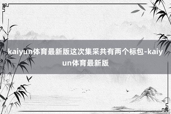 kaiyun体育最新版这次集采共有两个标包-kaiyun体育最新版