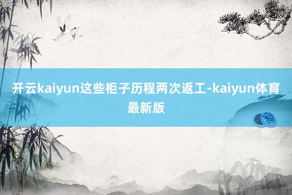 开云kaiyun这些柜子历程两次返工-kaiyun体育最新版