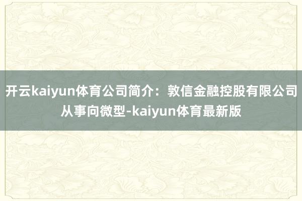 开云kaiyun体育公司简介：敦信金融控股有限公司从事向微型-kaiyun体育最新版