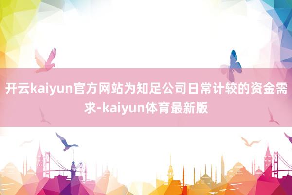 开云kaiyun官方网站为知足公司日常计较的资金需求-kaiyun体育最新版