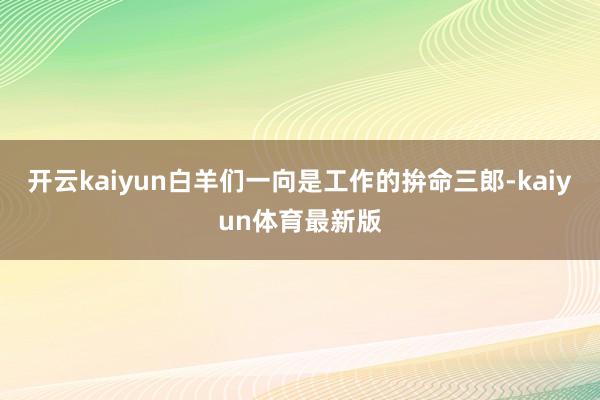 开云kaiyun白羊们一向是工作的拚命三郎-kaiyun体育最新版