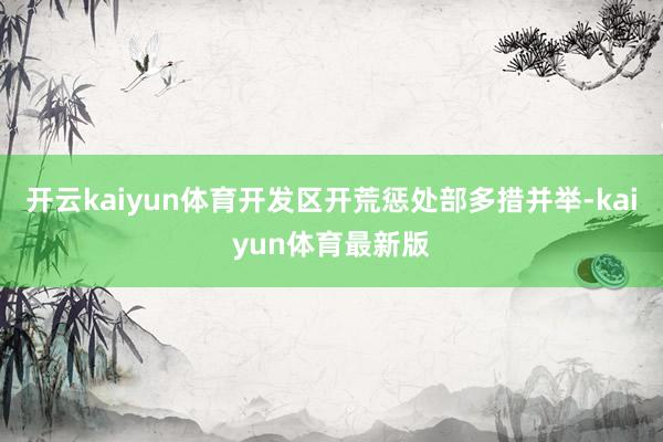 开云kaiyun体育开发区开荒惩处部多措并举-kaiyun体育最新版
