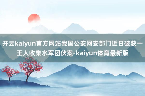 开云kaiyun官方网站我国公安网安部门近日破获一王人收集水军团伙案-kaiyun体育最新版