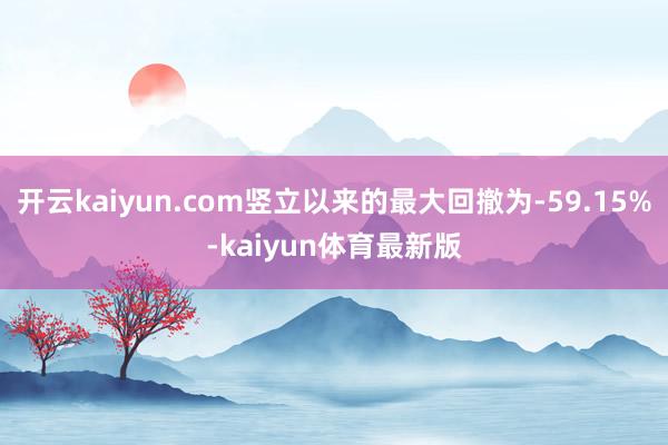 开云kaiyun.com竖立以来的最大回撤为-59.15%-kaiyun体育最新版